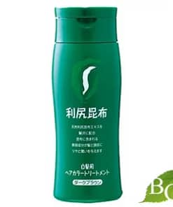 RISHIRI HAIR COLORING TREATMENT 200G