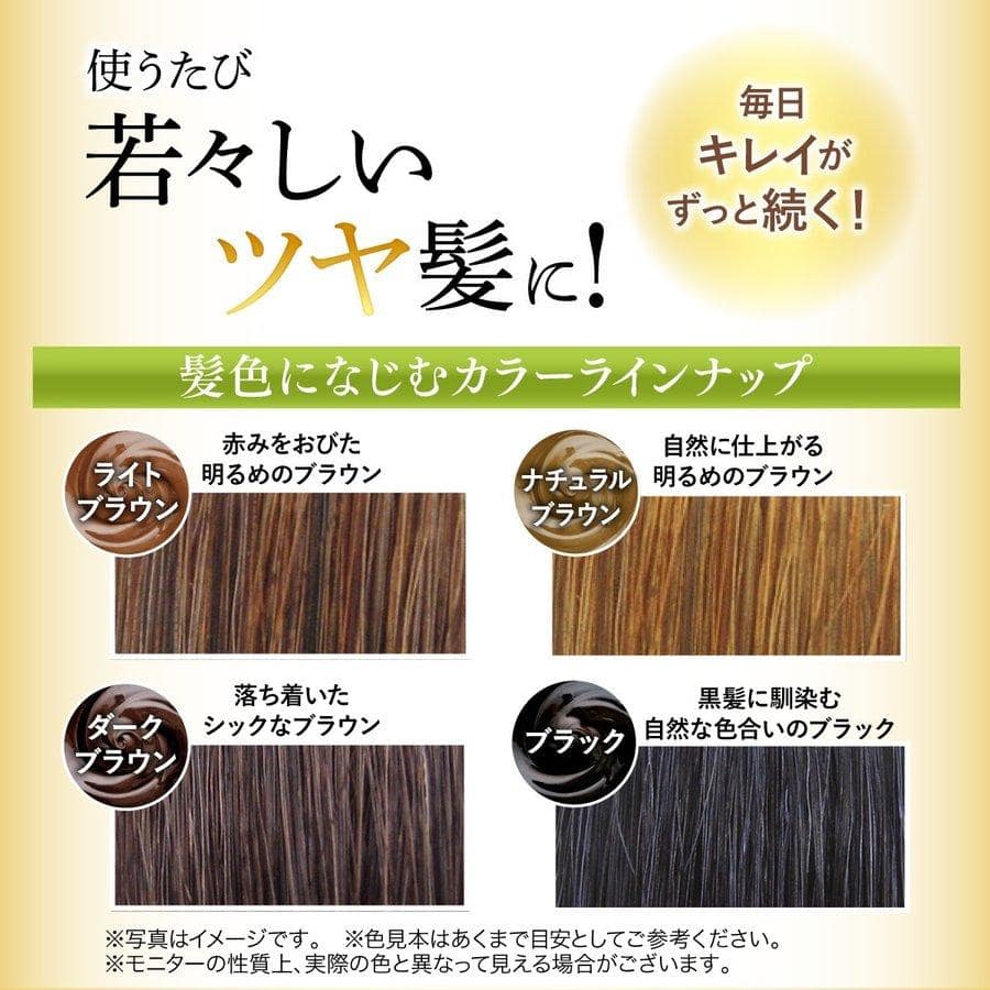 RISHIRI HAIR COLORING TREATMENT 200G - Ảnh 3